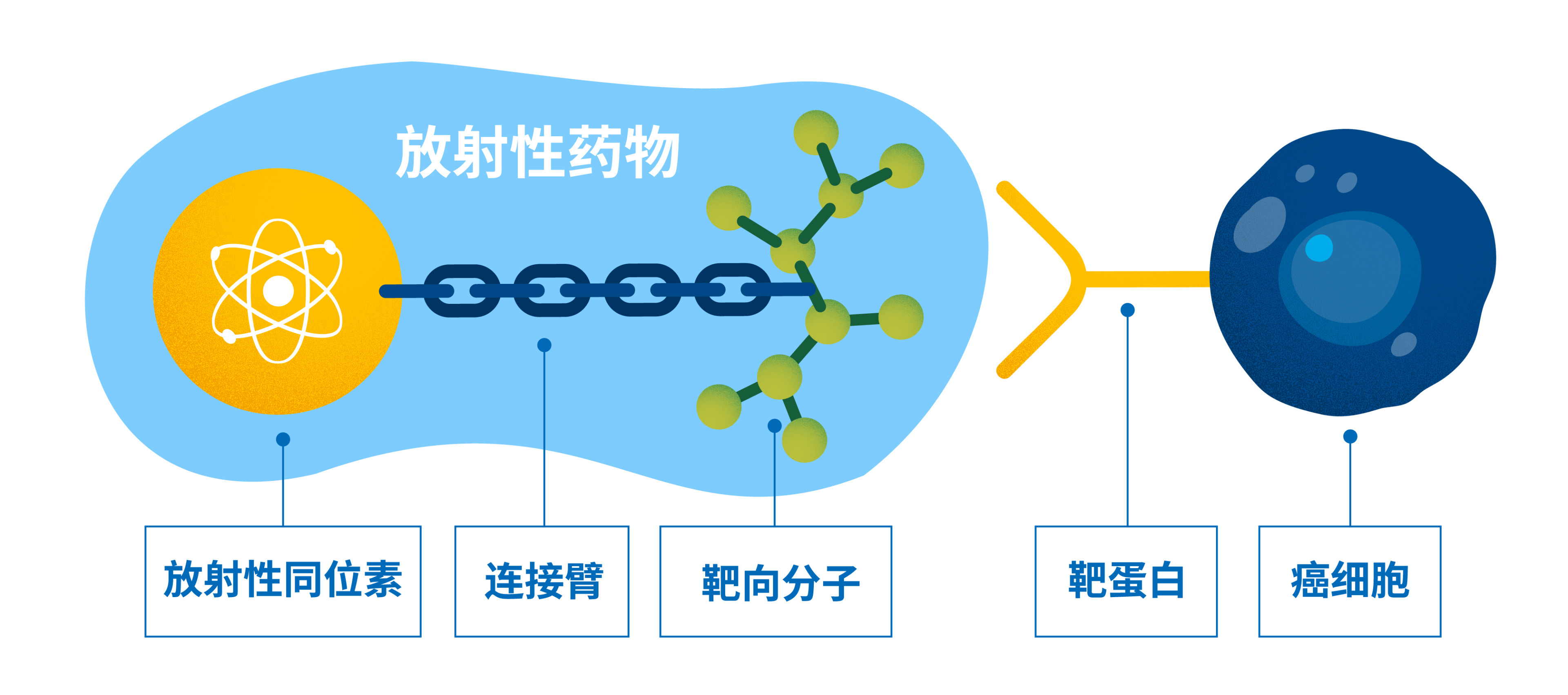 radiopharmaceuticals-webstory-ch_2-radiopharmaceuticals.jpg radiopharmaceuticals-webstory-ch_2-radiopharmaceuticals.jpg