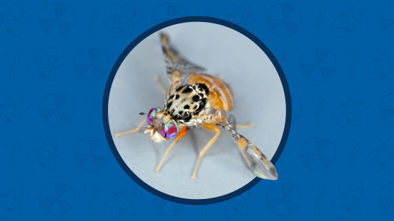 nuclearexplainedpestcontrolcover.jpg nuclearexplainedpestcontrolcover.jpg