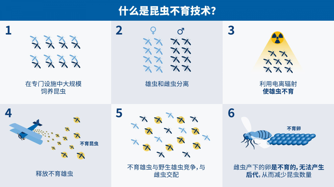 pest_control-ch_01_insect_technique_sit.jpg pest_control-ch_01_insect_technique_sit.jpg