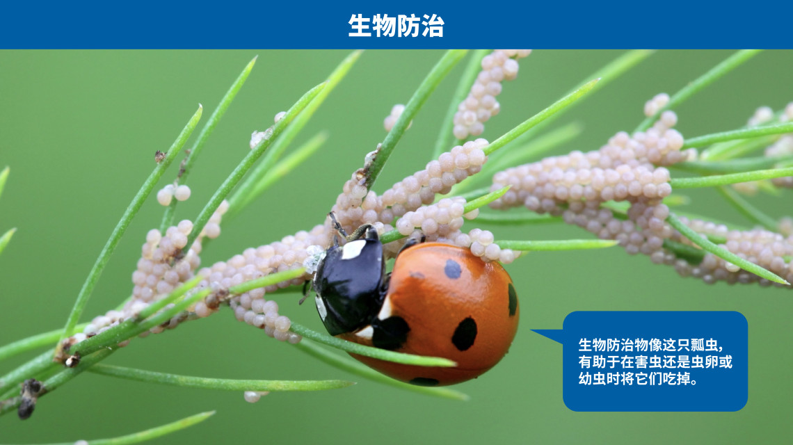 pest_control-ch_03_biological_control_.jpg pest_control-ch_03_biological_control_.jpg