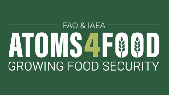 atoms4food-logo-2.jpg